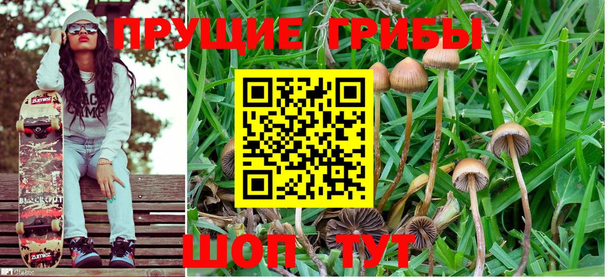Галлюциногенные грибы MAGIC MUSHROOMS  Вход с VPN  Псилоцибиновые грибы мухоморы  Качканар 
