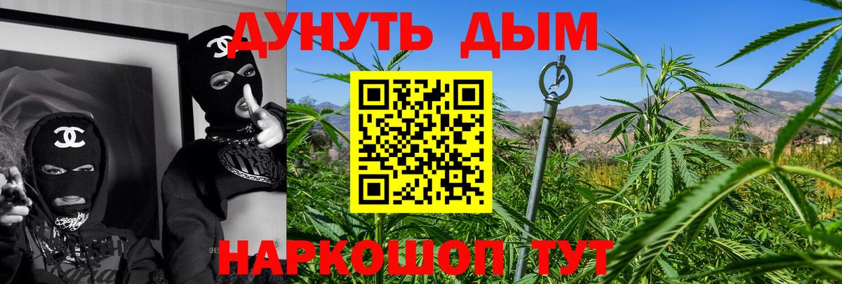 Бошки Шишки план Качканар